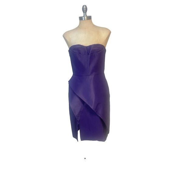 J. Mendel Violet Purple Silk Bustier Strapless Dress NWT 10 Fits 6 8 $696 - Picture 2 of 8